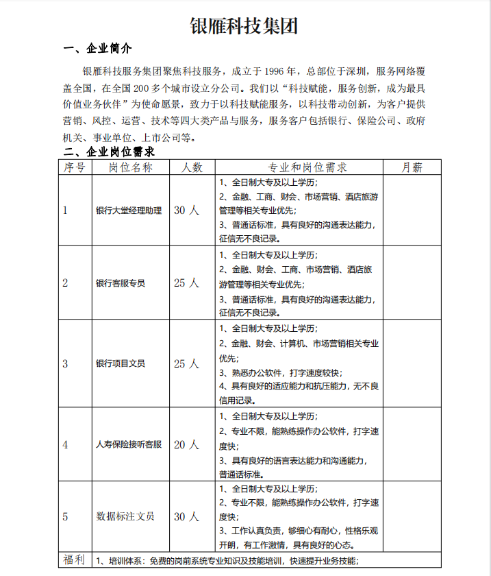 银雁科技集团