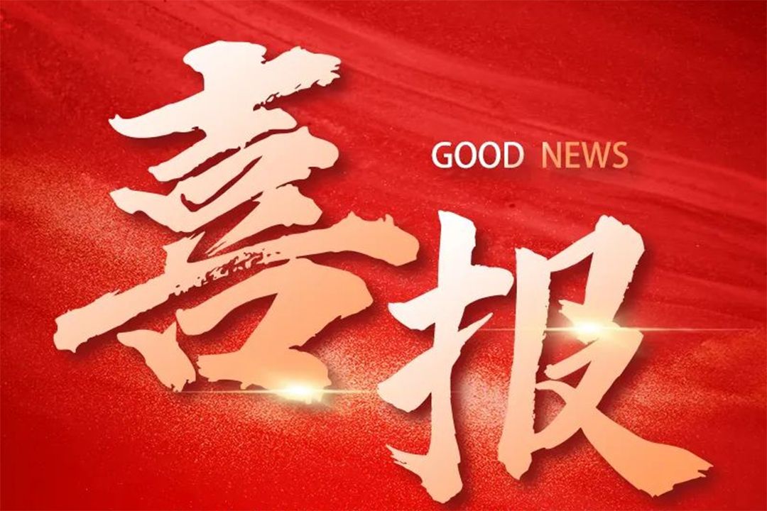 喜报！郑州城市职业学院获评河南省2024年度高校毕业生就业工作典型案例高校