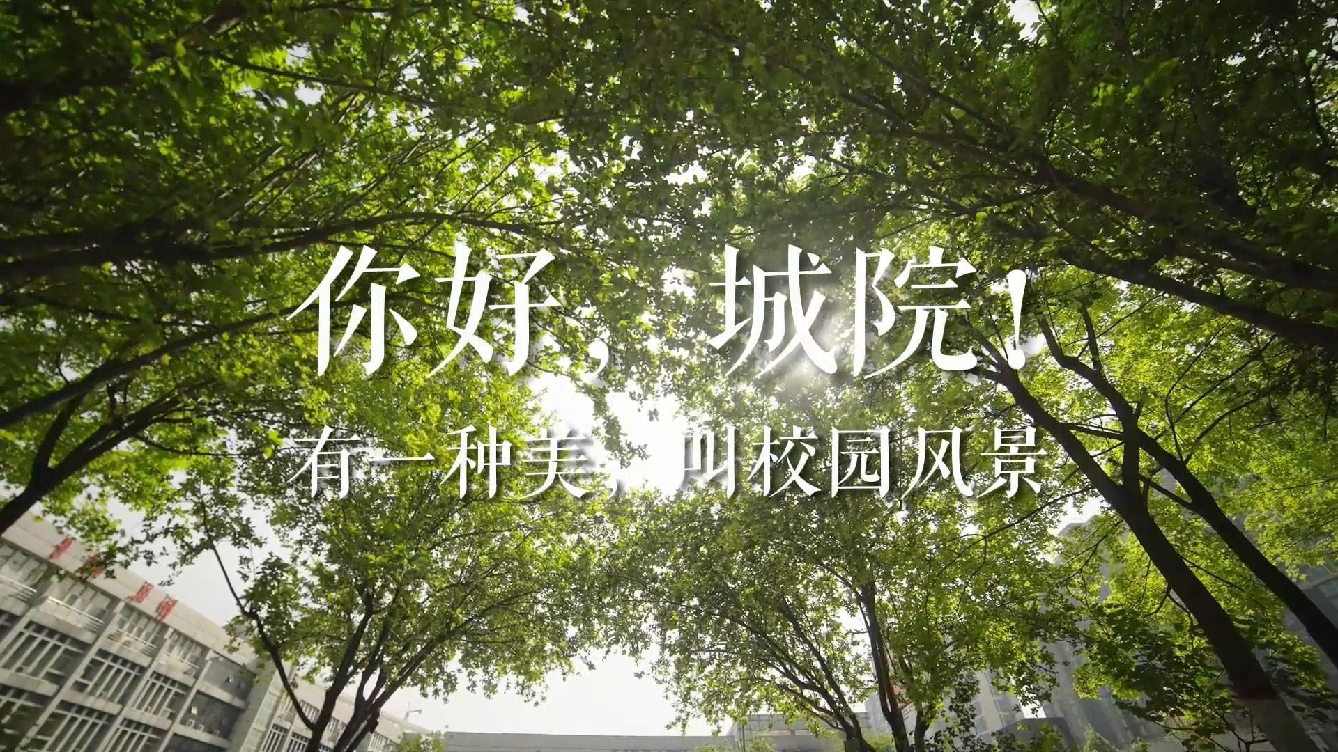 有一种美，叫校园风景