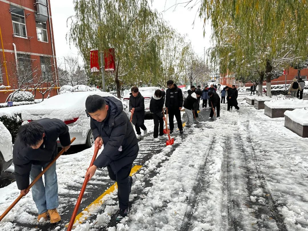 师生共除雪，温暖沁人心