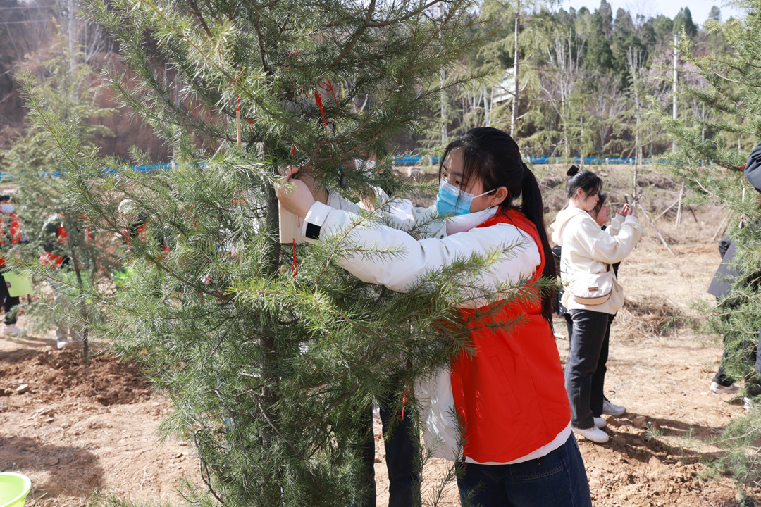 参与植树的师生分工协作、相互配合