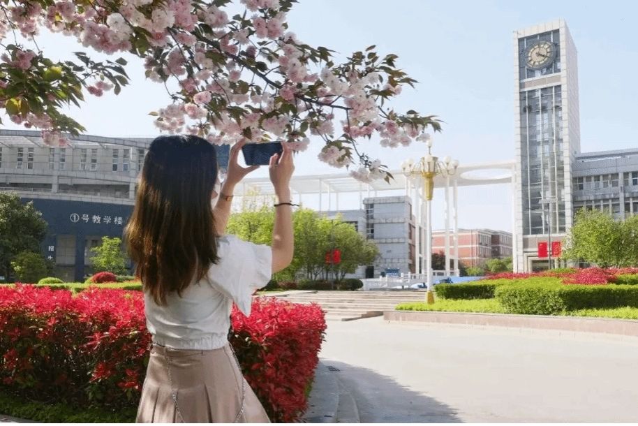 春日浪漫｜Let's在花团锦簇里自拍一个吧！