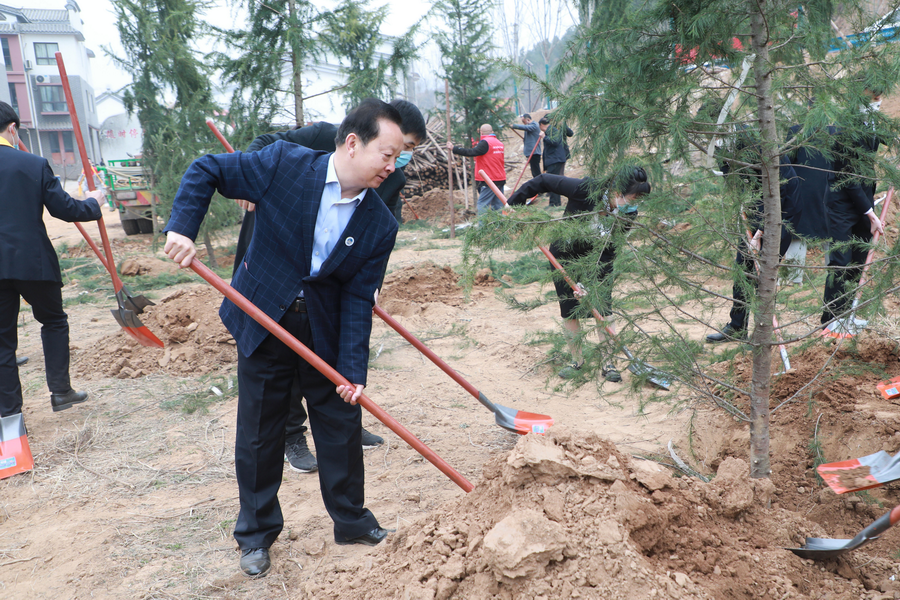 师生在“郑州城院林”栽树培土