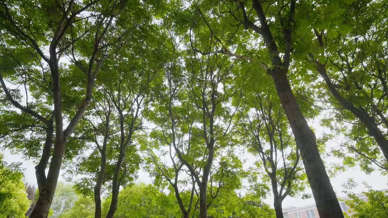 在城院，每一帧都是热爱