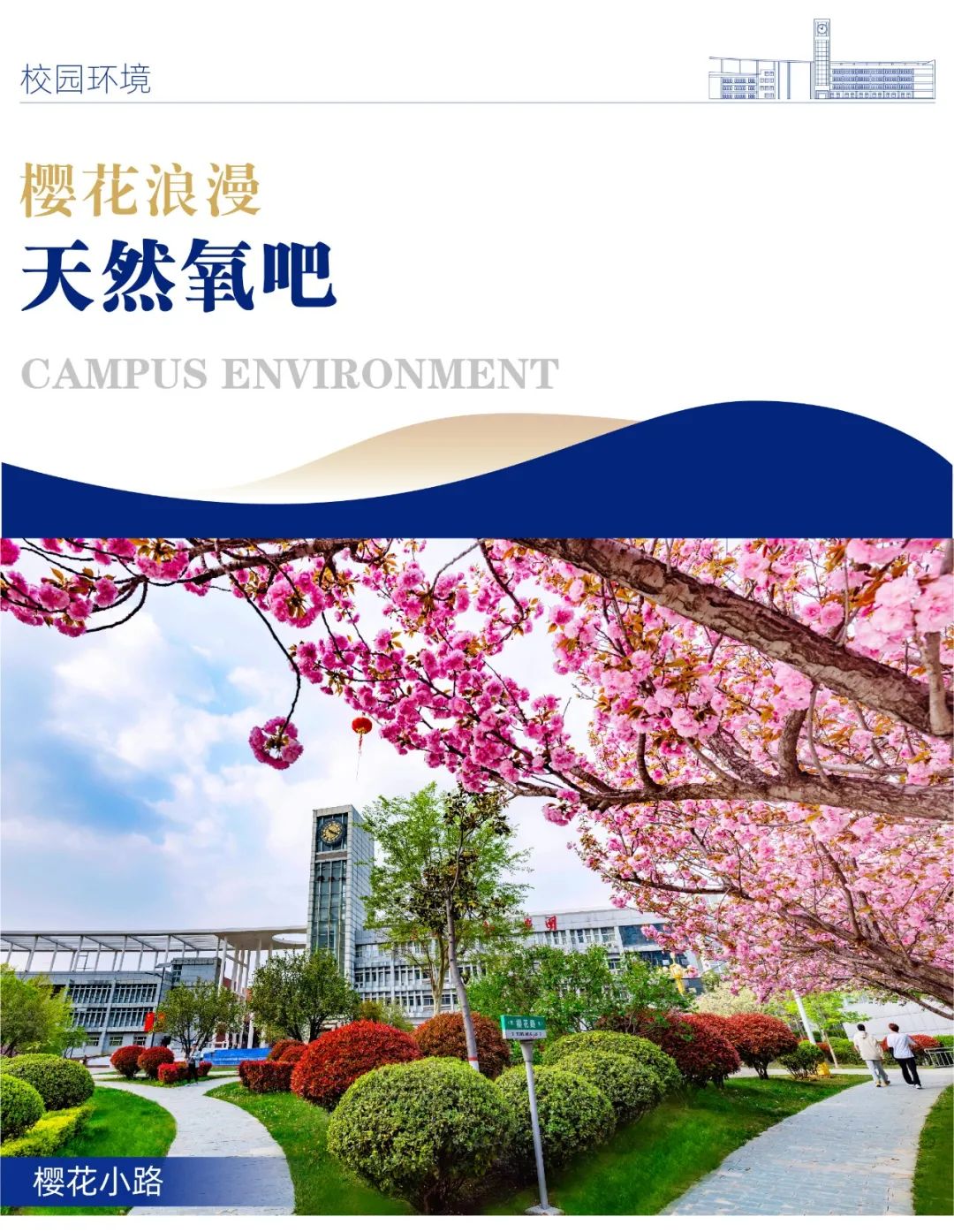 郑州城市职业学院2024年单招指南