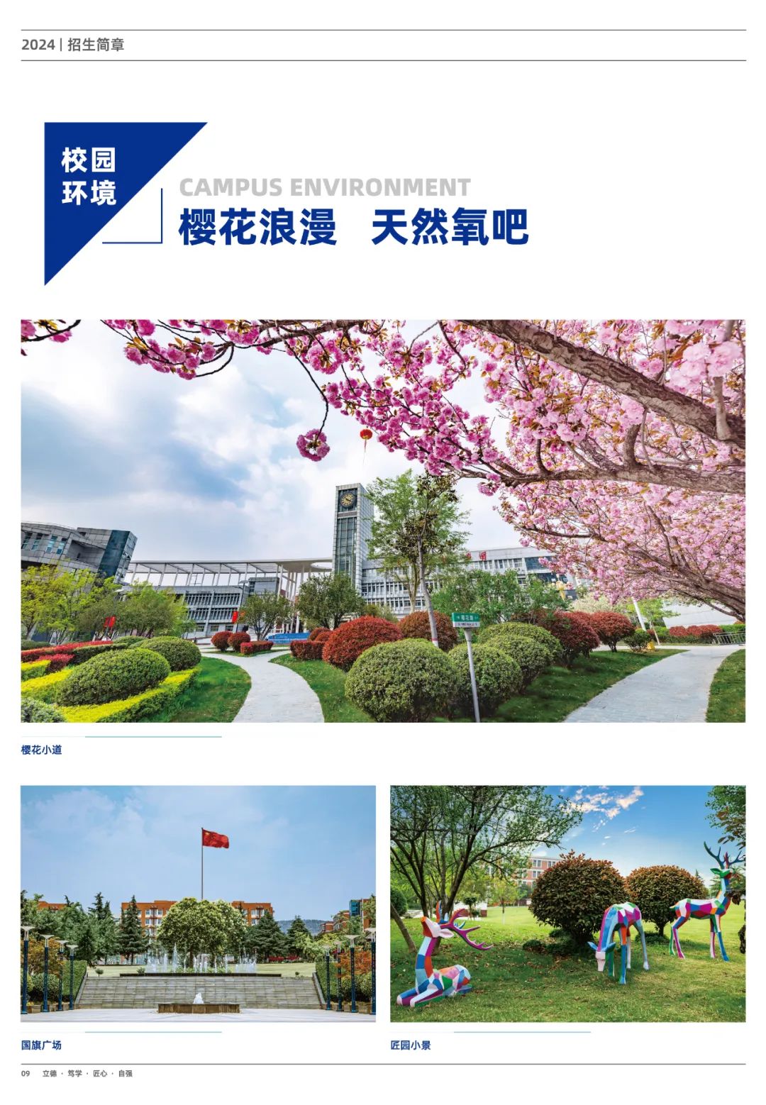 郑州城市职业学院2024年招生简章